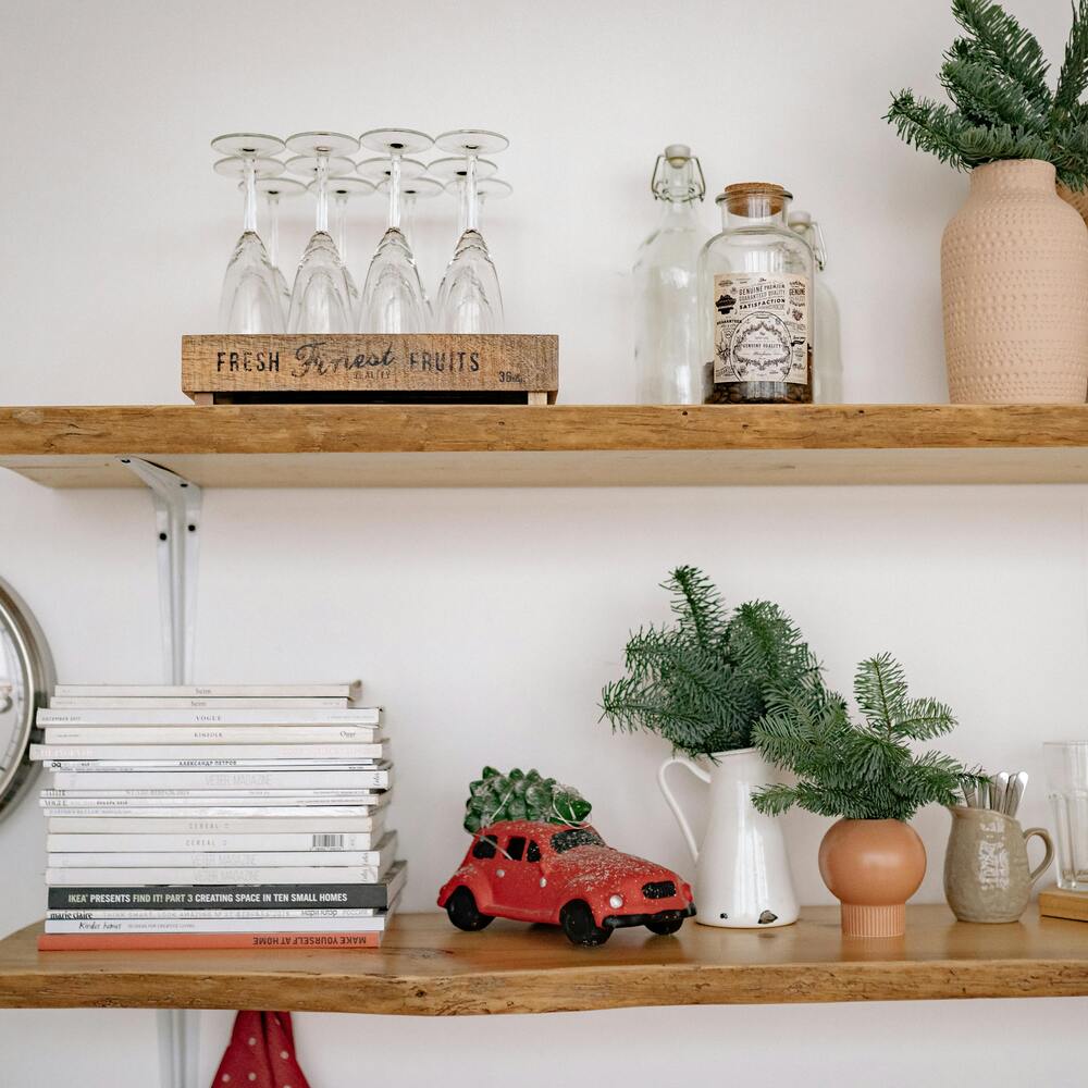 plant set up in home