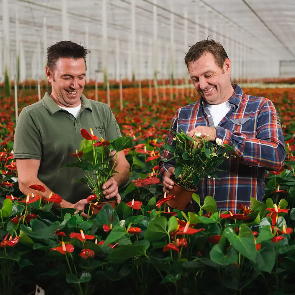 EP Flora grower on Thursd feature