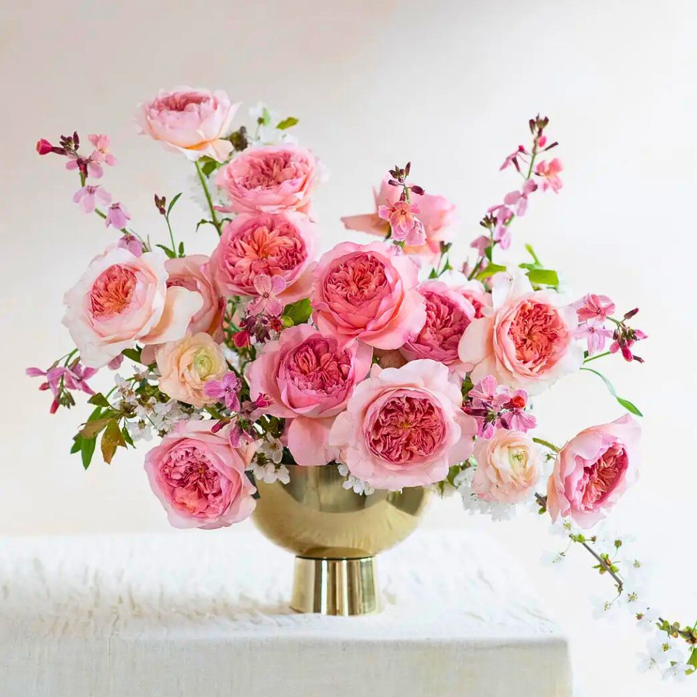 Rose Phoebe™ David Austin Introduces Two Exquisite New Wedding Roses