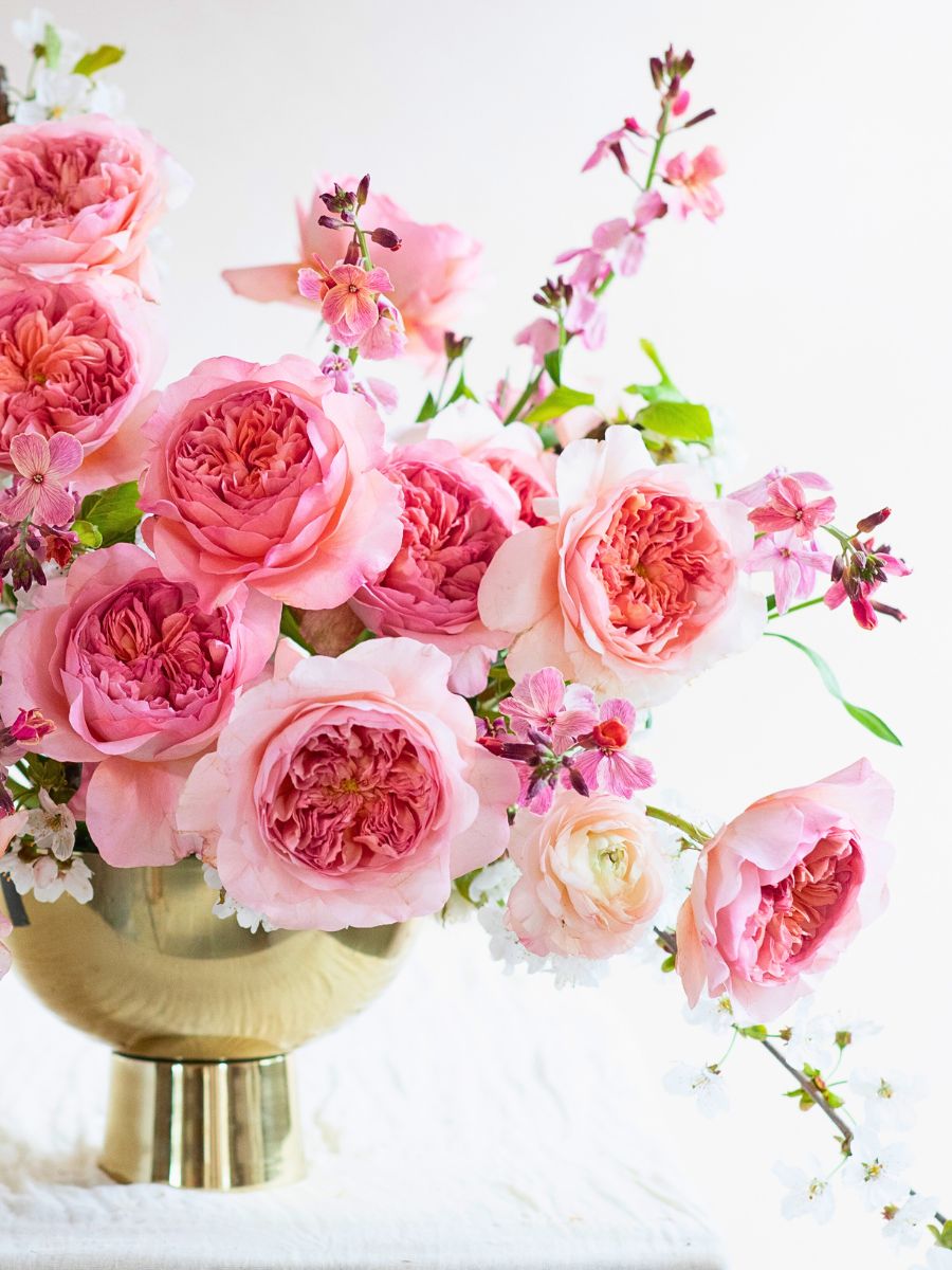 David Austin Introduces Two Exquisite New Wedding Roses