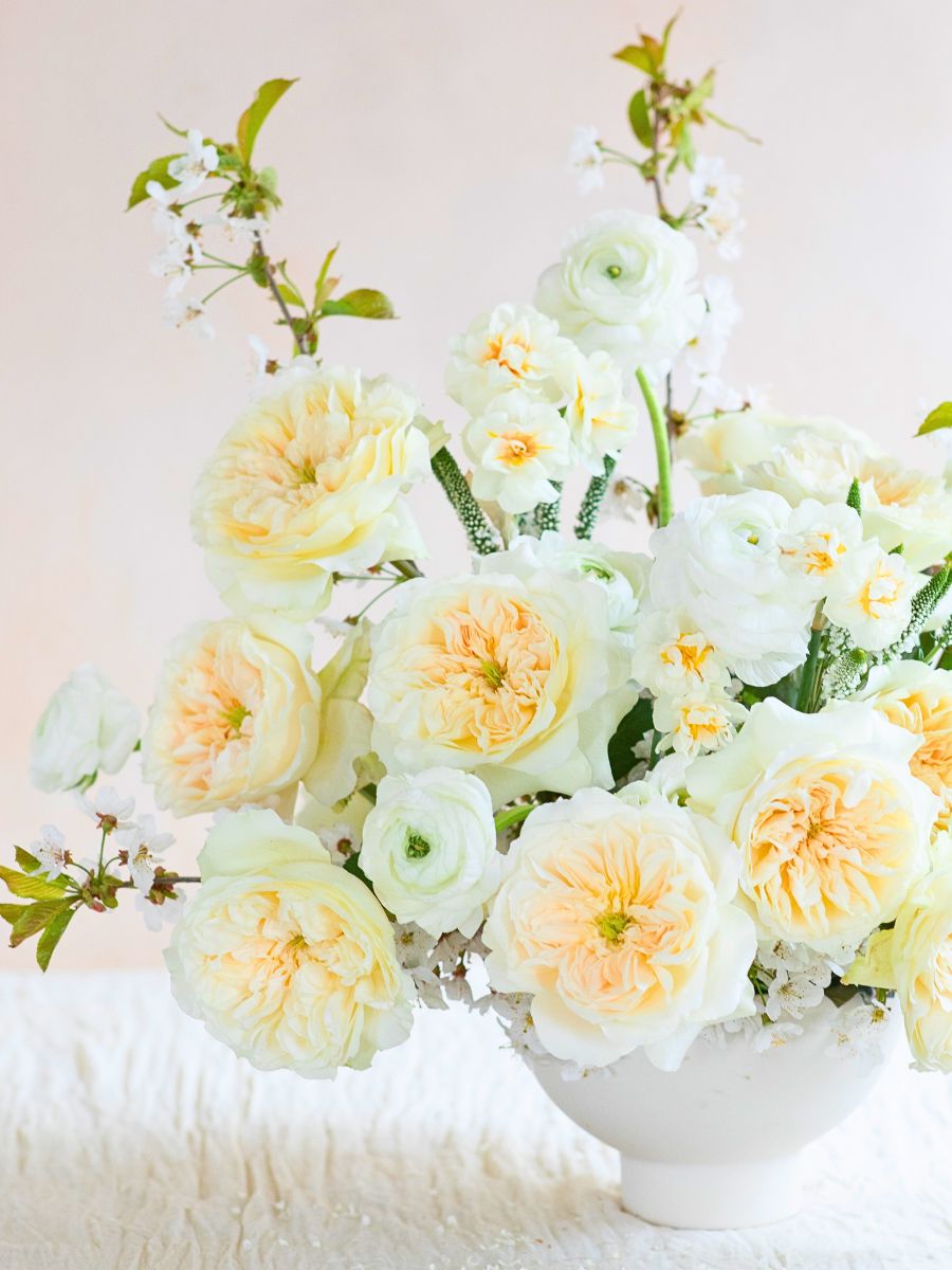 Rose Enid™ David Austin Introduces Two Exquisite New Wedding Roses