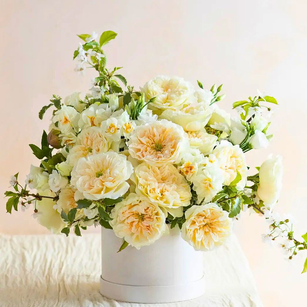 David Austin Introduces Two Exquisite New Wedding Roses
