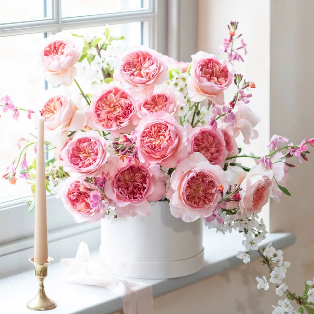David Austin Introduces Two Exquisite New Wedding Roses