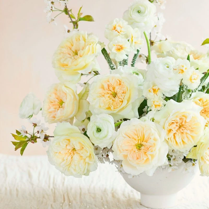 David Austin Introduces Two Exquisite New Wedding Roses