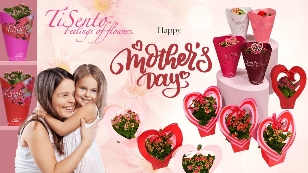 Plants for Mother's Day by TiSento Feelings of Flowers