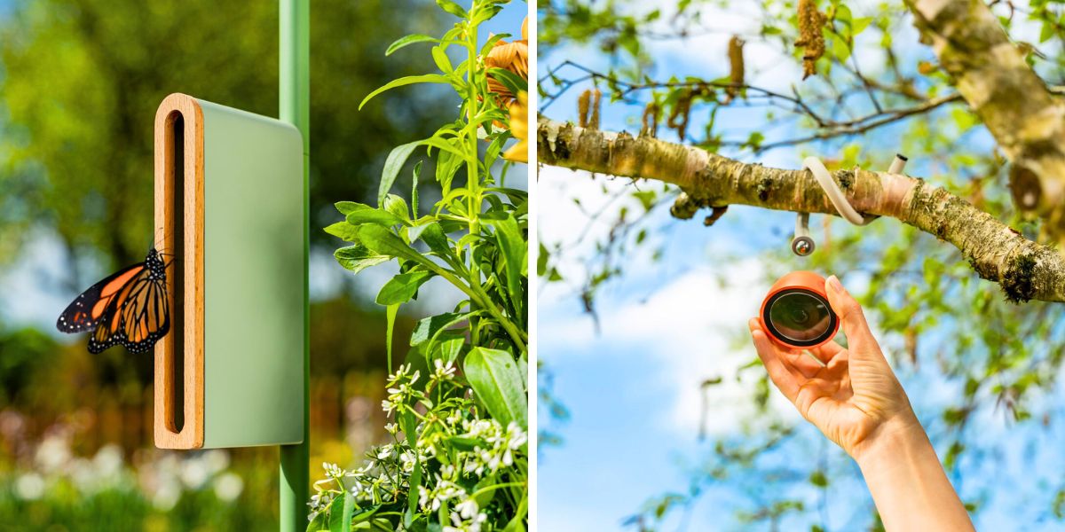 A safe refugee for pollinators and the Petal Camera