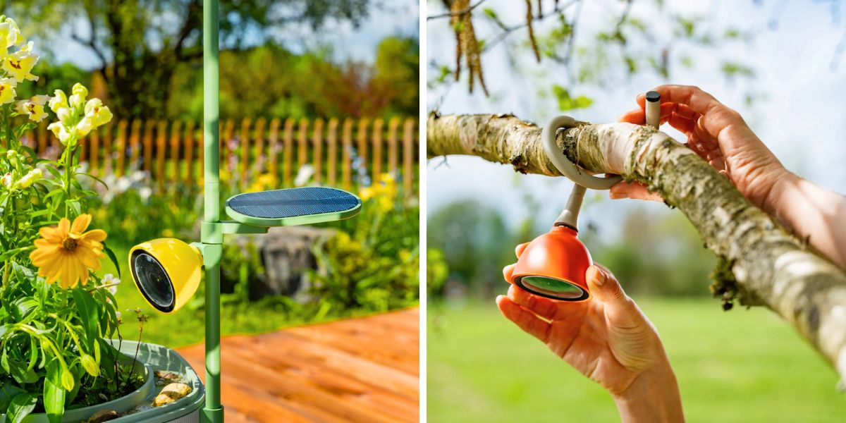 Petal Camera serves to film nature