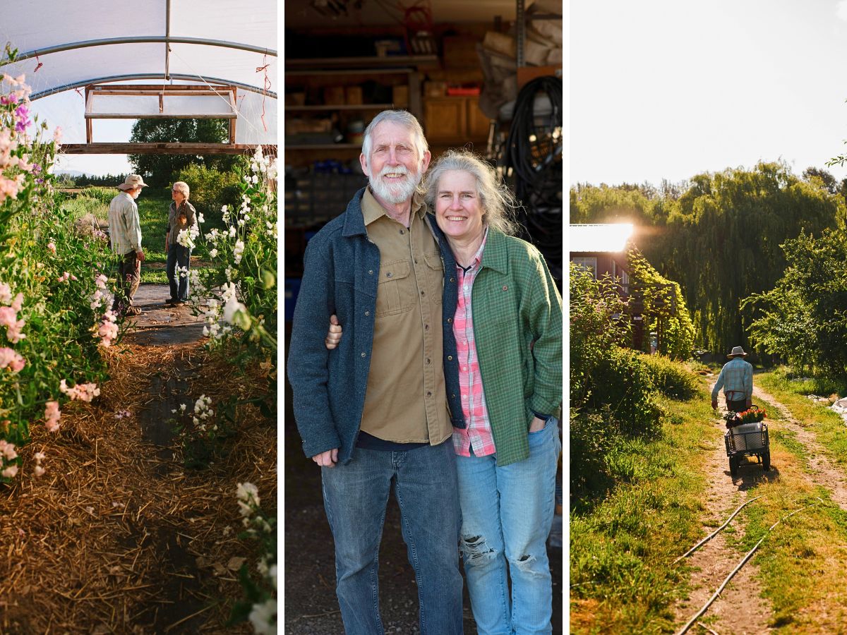 Jello Mold Farm ‘The Flower Farmers’ Anthology - A Guide to Expertise and Inspiration in Floral Cultivation