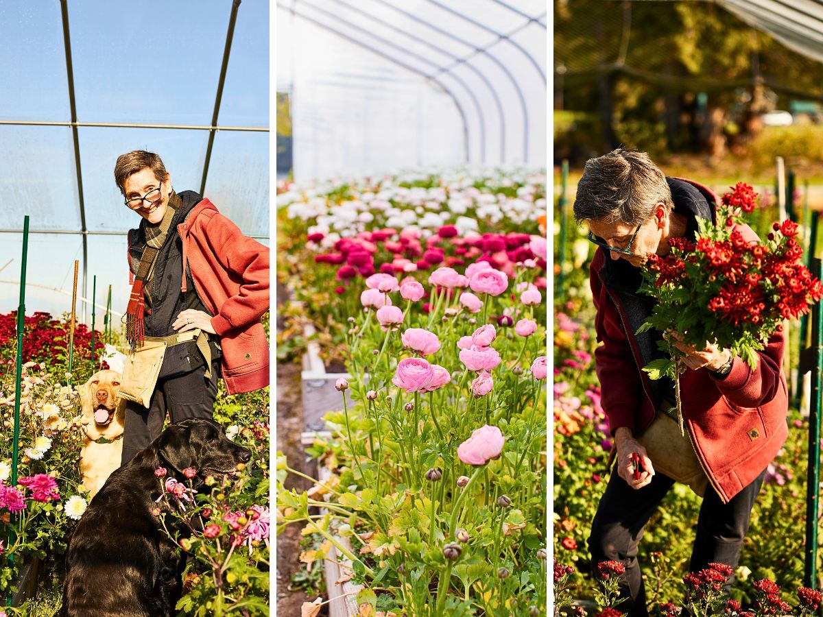 Everyday Flowers The Flower Farmers: Inspiration & Advice From Expert Growers Anthology by Debra Prinzing and Robin Avni