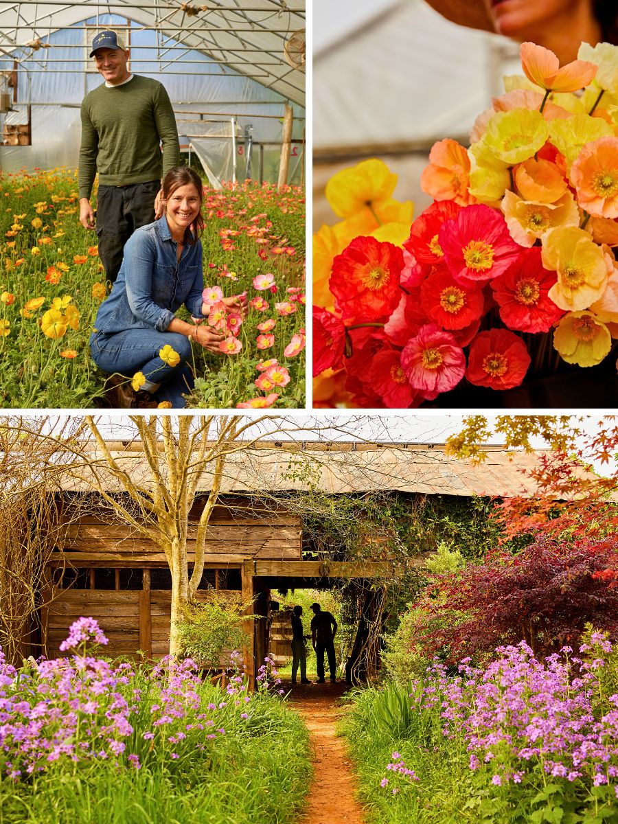 3 Porch Farm The Flower Farmers: Inspiration & Advice From Expert Growers Anthology by Debra Prinzing and Robin Avni