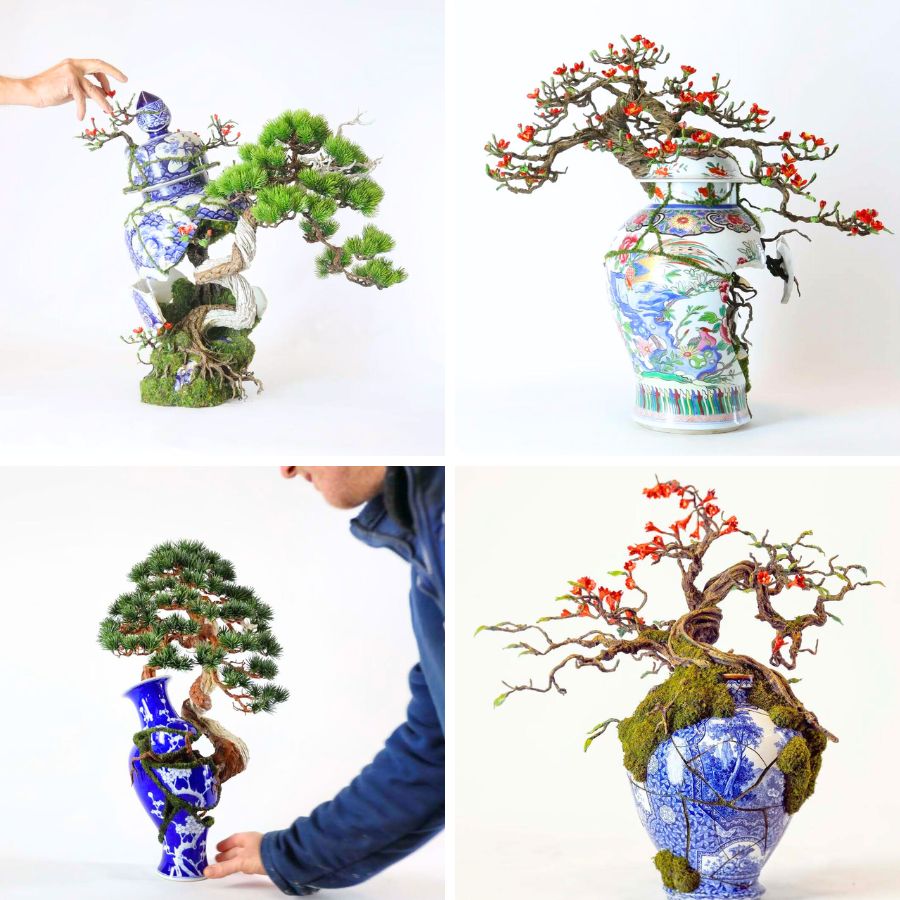 Green Bonsai and sprouting flower bonsais Green Bonsai and sprouting flower bonsais