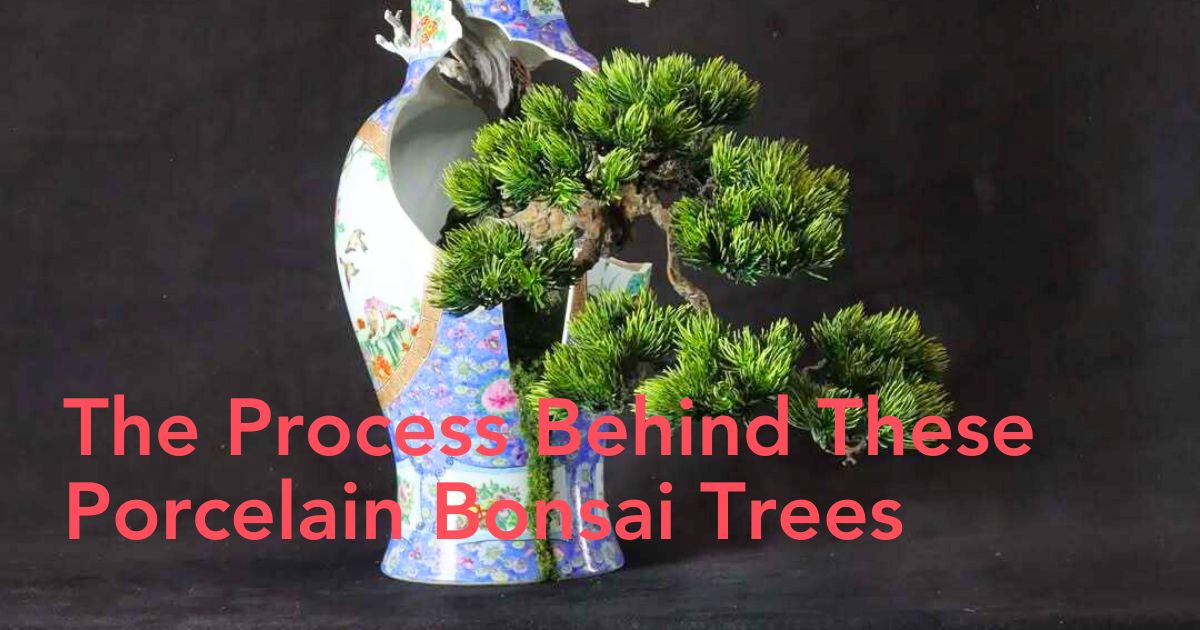 Porcelain bonsai tree designs