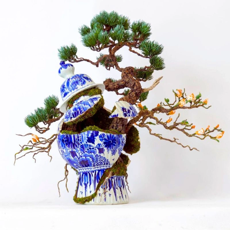 bonsai porcelain trees