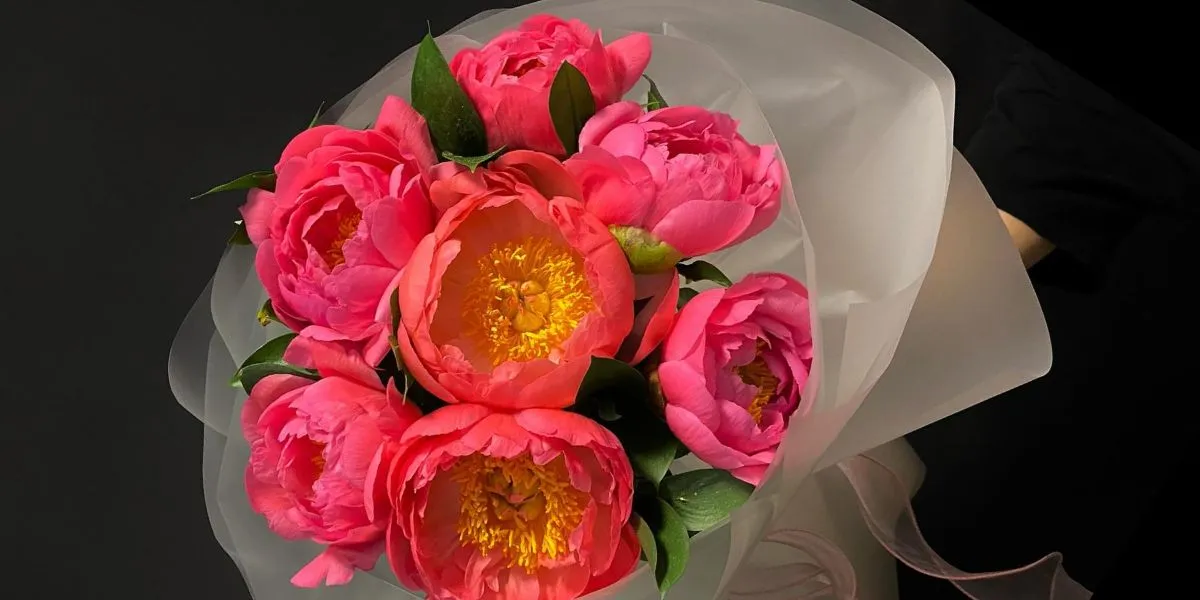 Peony Coral Sunset by Flower Fairy