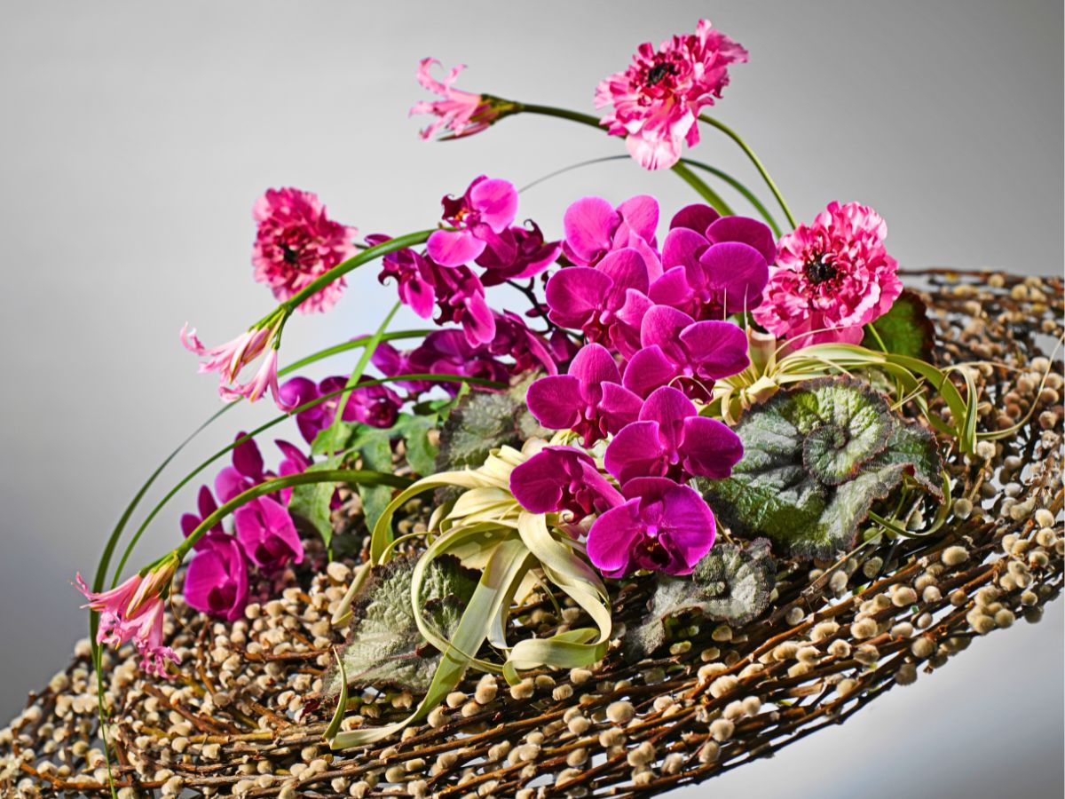 Belgian Florist Chantal Post Is Ready to Let Her Artistry Shine at World Cup Floral Art 2025