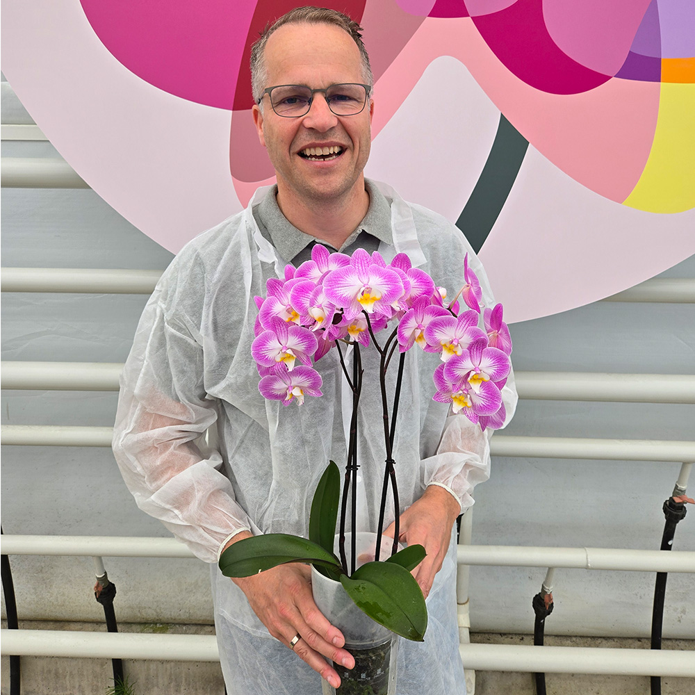 Robert Kuijf from Anthura with Phalaenopsis Sunca Robert Kuijf from Anthura with Phalaenopsis Sunca