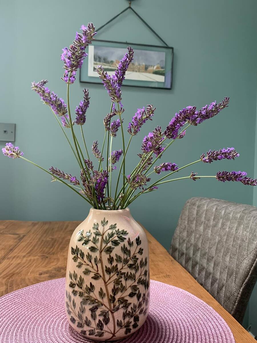 Lavender flower for indoor decor Lavender flower for indoor decor