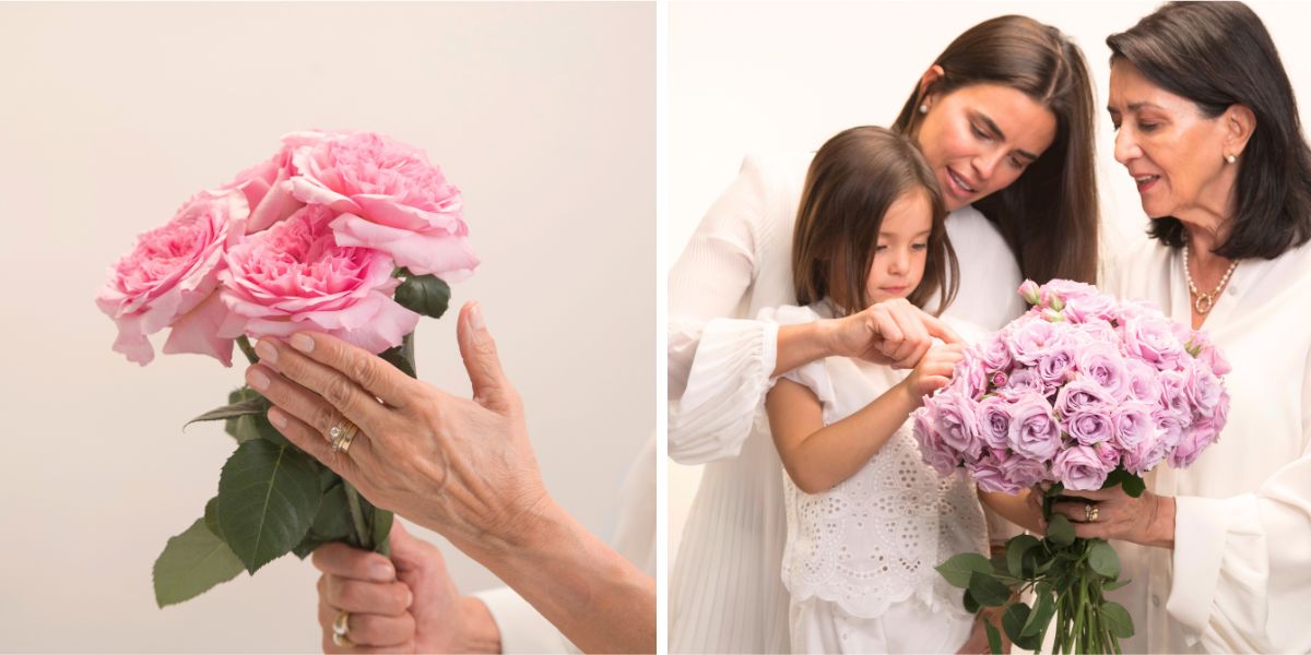 Roses from Rosaprima for Mothers day