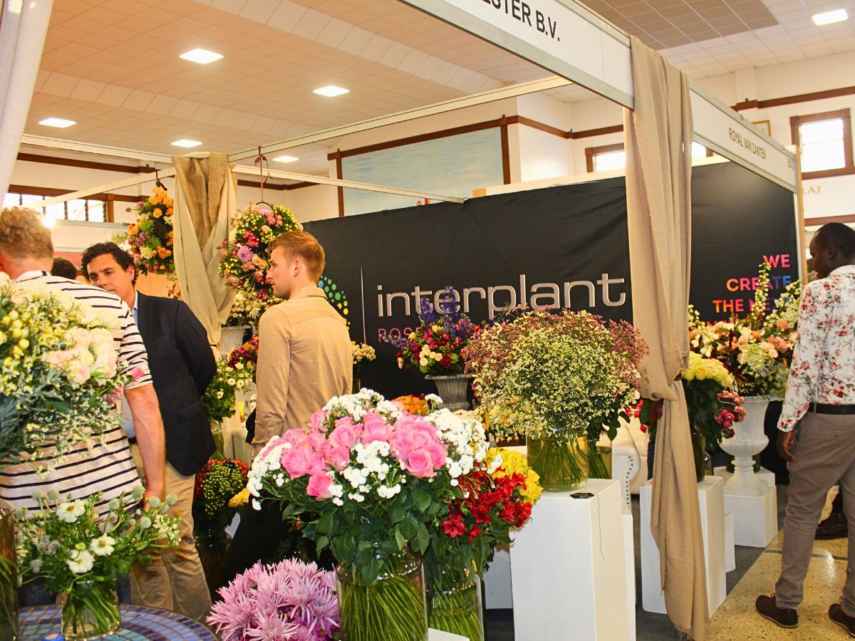Interplant Roses IFTEX 2025 Is Coming Up, and Thursd Still Celebrates Kenyan Flowers