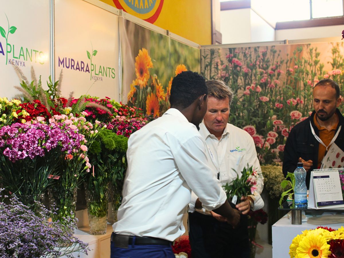 Murara Plants IFTEX 2025 Is Coming Up, and Thursd Still Celebrates Kenyan Flowers