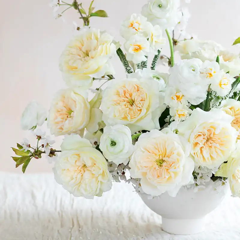 David Austin Introduces Two Exquisite New Wedding Roses
