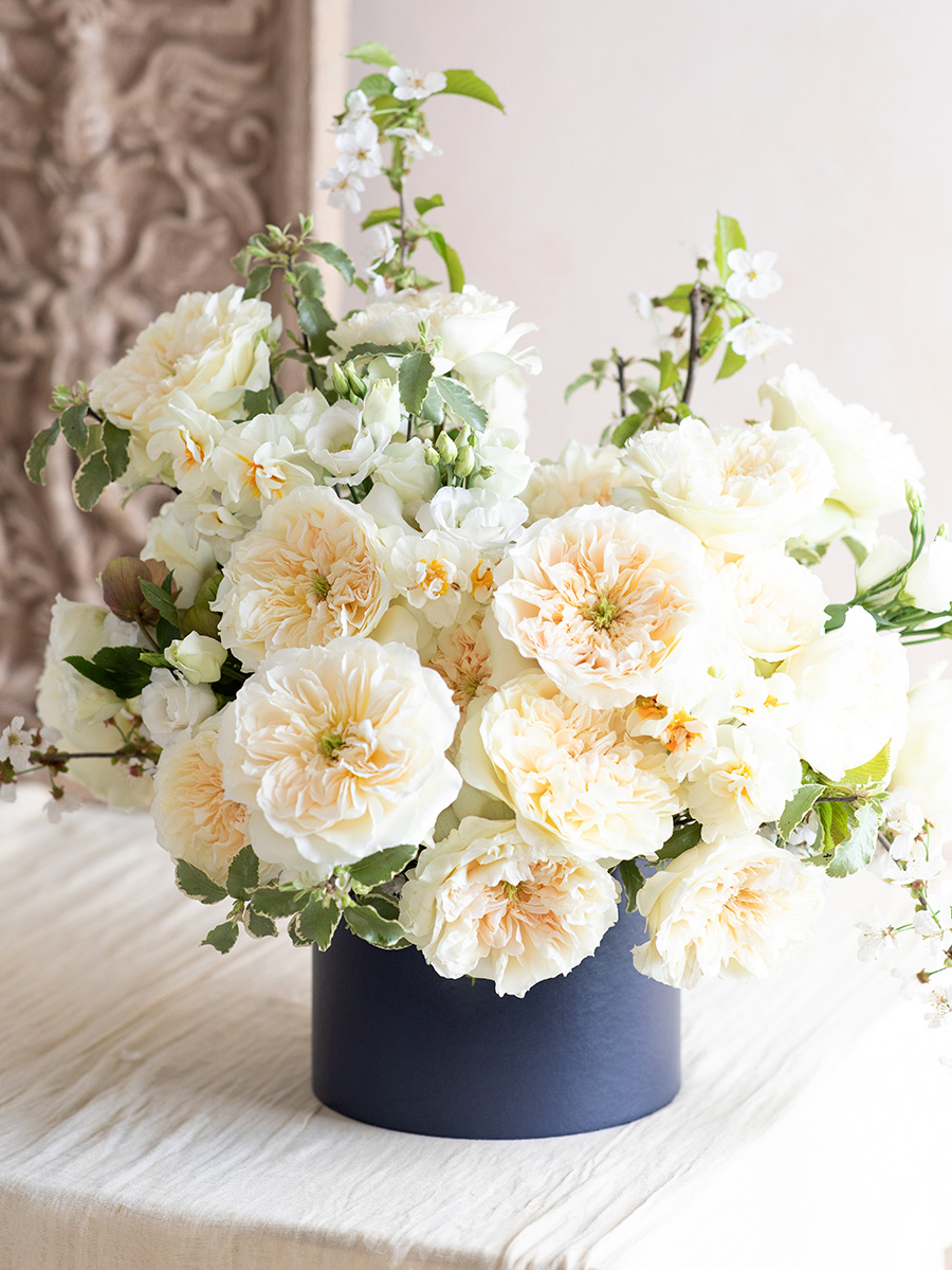 Rose Enid from David Austin in a black flower box