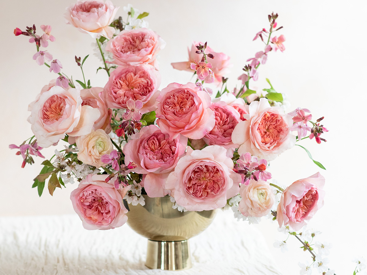 Urn with Rose Phoebe design from David Austin Urn with Rose Phoebe design from David Austin