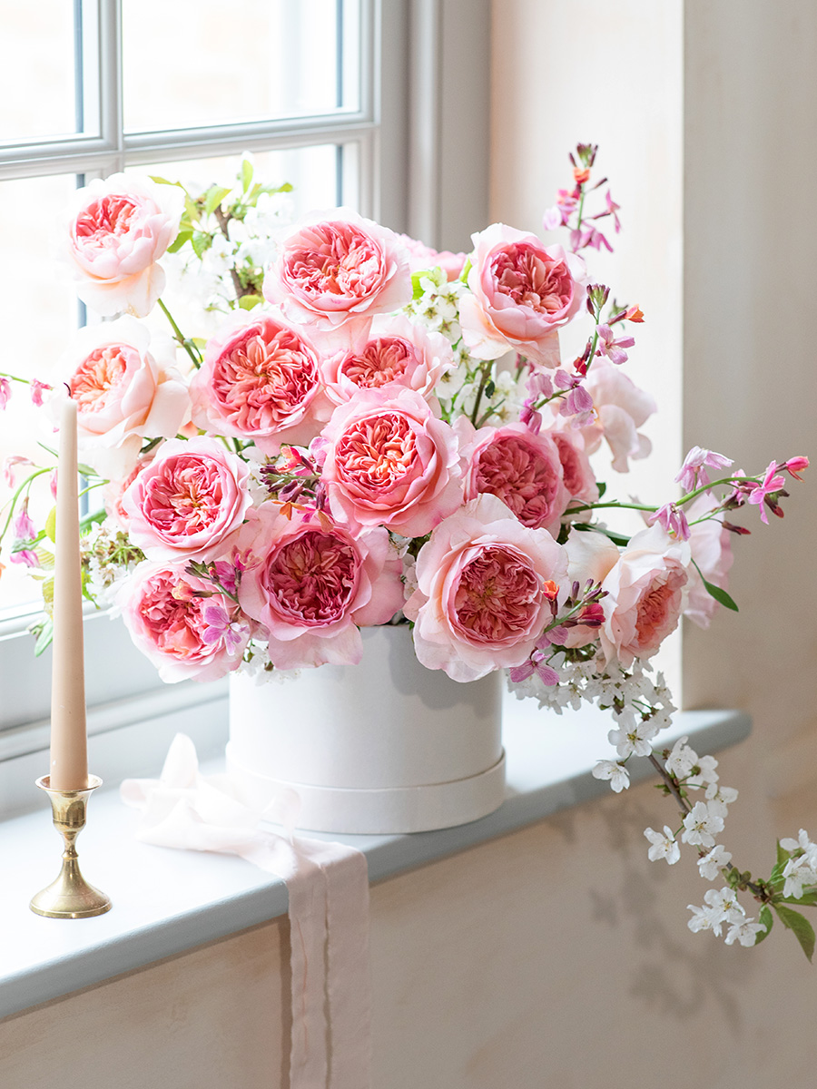 Box with Rose Phoebe design windowsill from David Austin.jpg