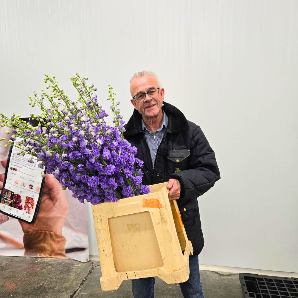 David Dahlson displays his favorite flower Delphinium Pacific Giants Bluebird 10 Questions to David Dahlson