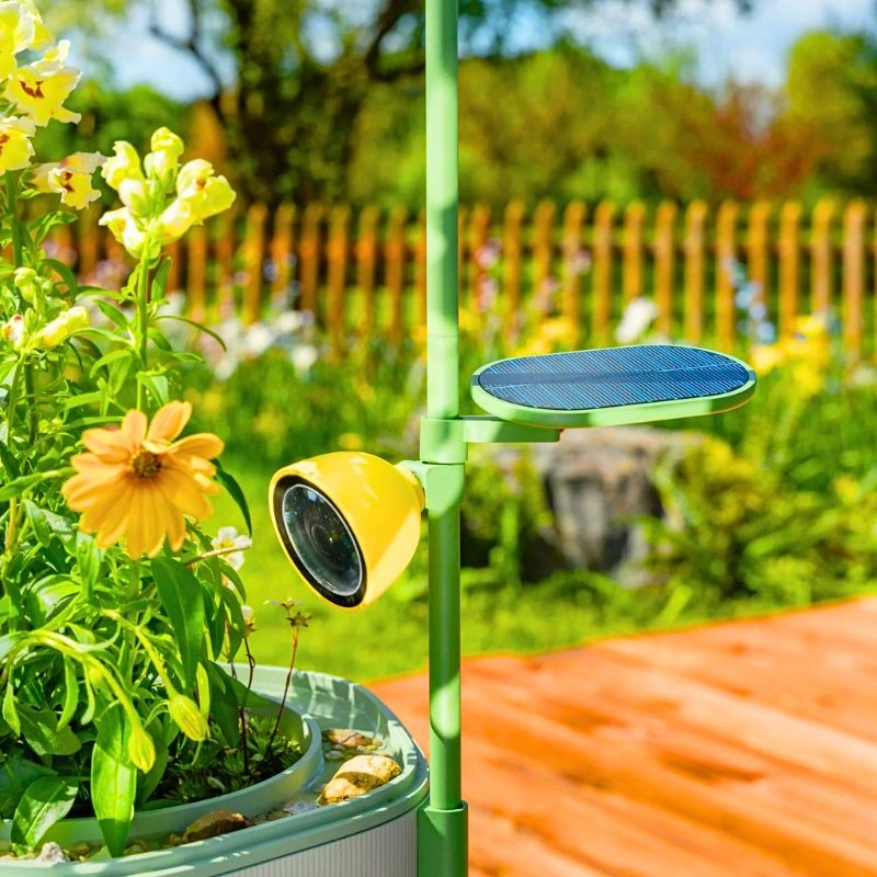 Petal camera