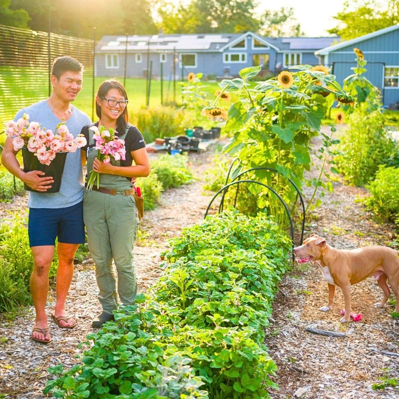 Flower farming couple
