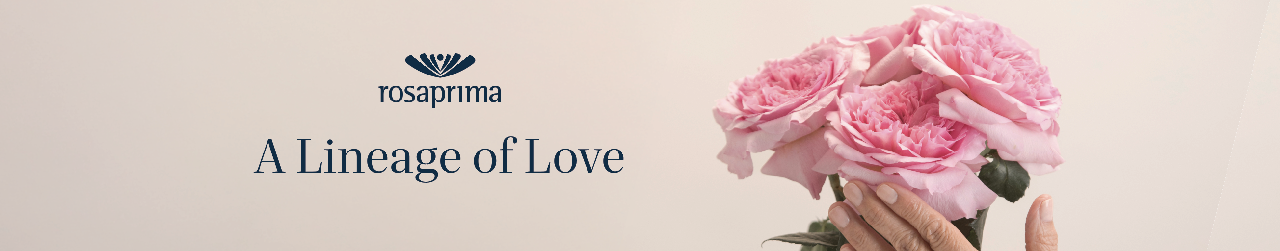 Banner Mother's Day Rosaprima