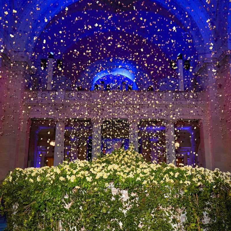 Narcissus met gala