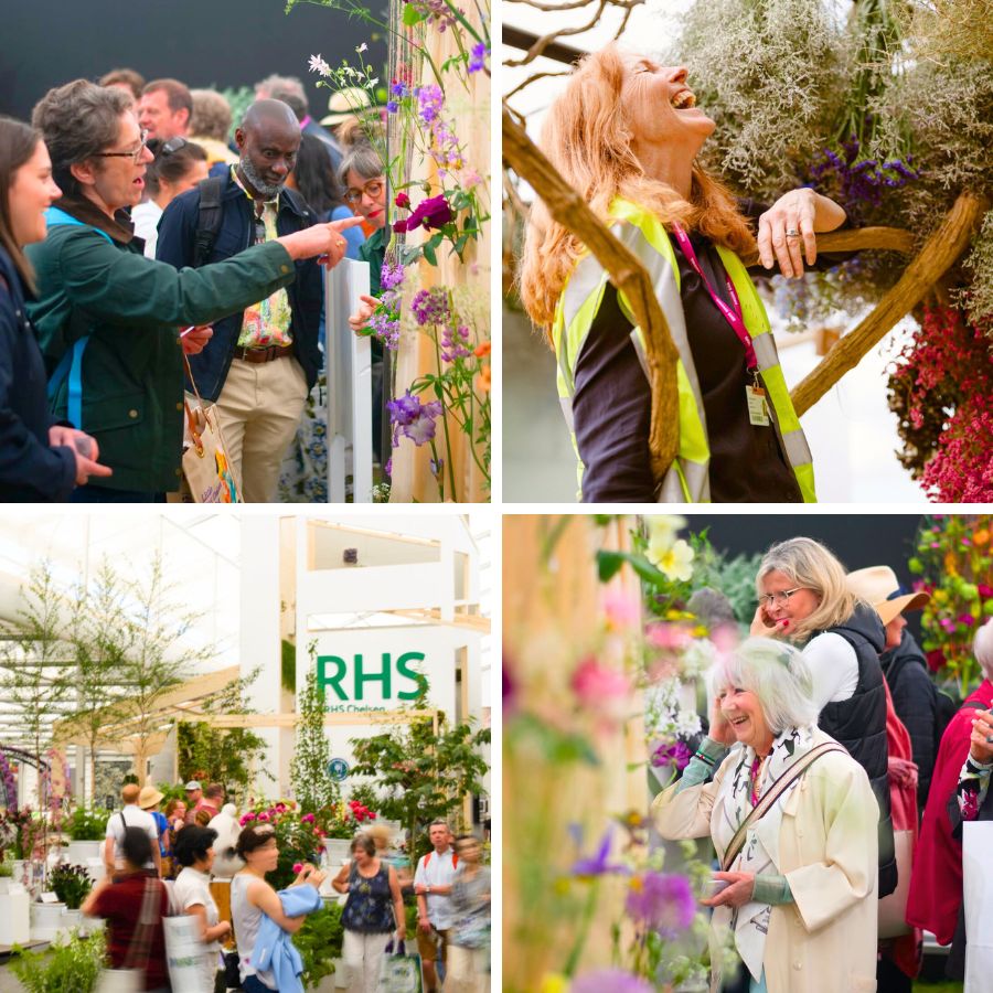 More moments at the RHS Chelsea Flower Show