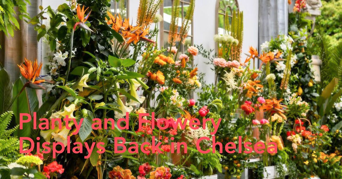 Chelsea Flower Show header