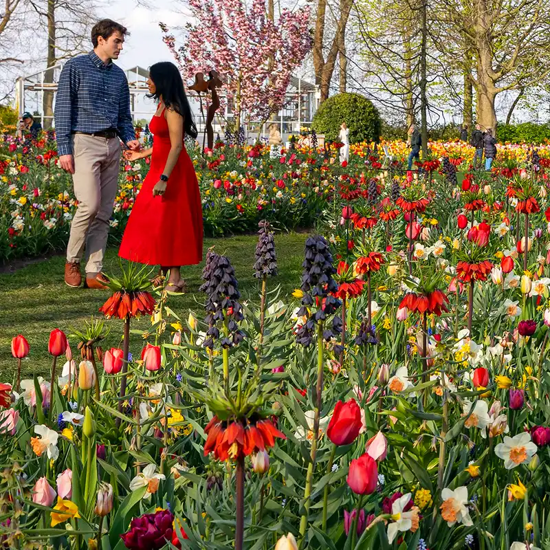 JUB Holland at Keukenhof 2025 square feature