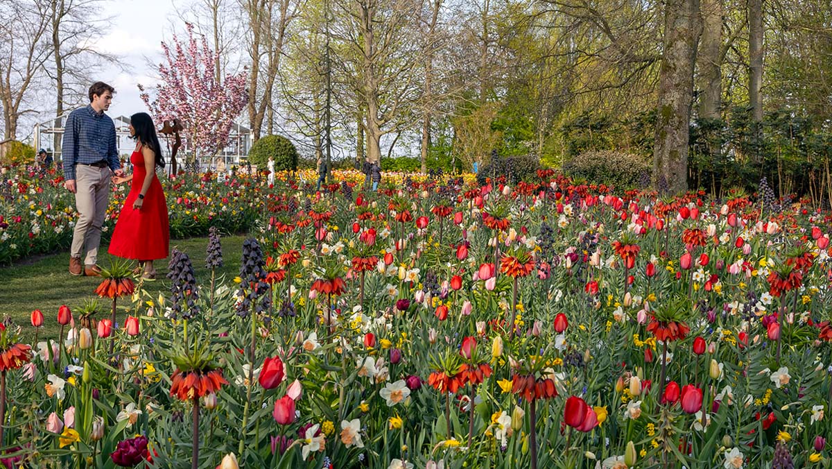 JUB Holland at Keukenhof 2025 couple in garden JUB Holland at Keukenhof 2025 couple in garden