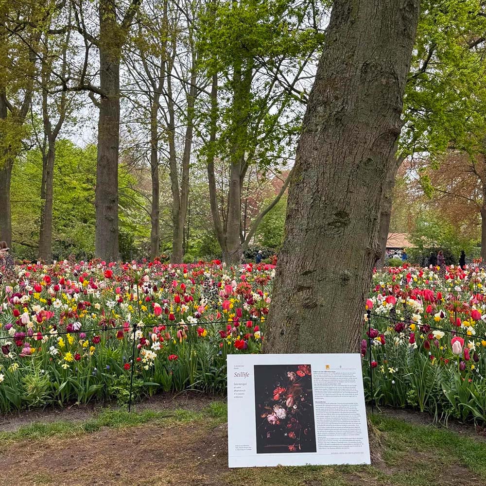 JUB Holland at Keukenhof 2025 by carienspolaroids JUB Holland at Keukenhof 2025 by carienspolaroids