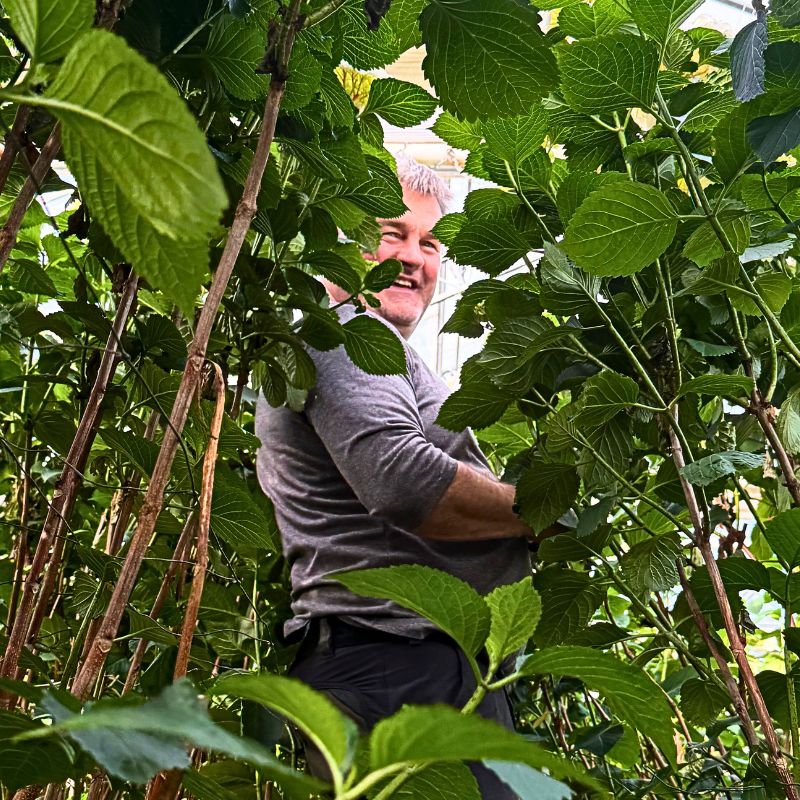 Edwin Burgers from Nursery Nooitgedacht