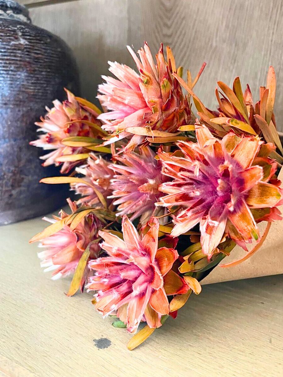 Pink Plumosum in a bouquet Pink Plumosum in a bouquet