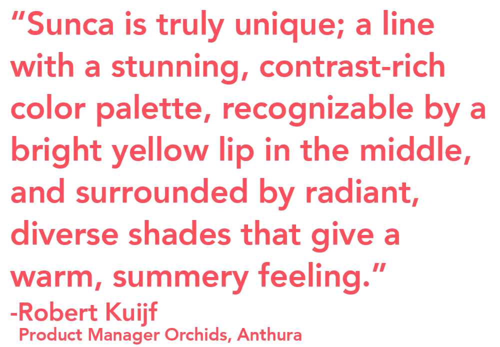 Anthura Sunca quote Robert Kuijf