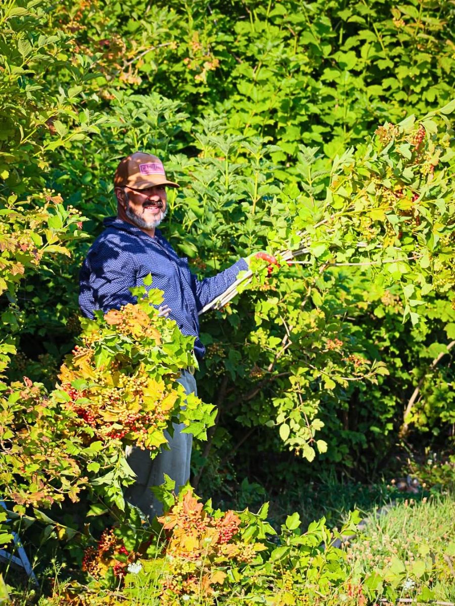 Floral greens The Essential Nexus Between Biodiversity Conservation and Sustainable Floriculture