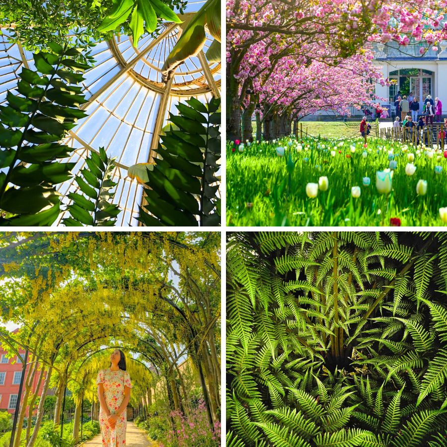 Different parts at Kew Gardens Different parts at Kew Gardens