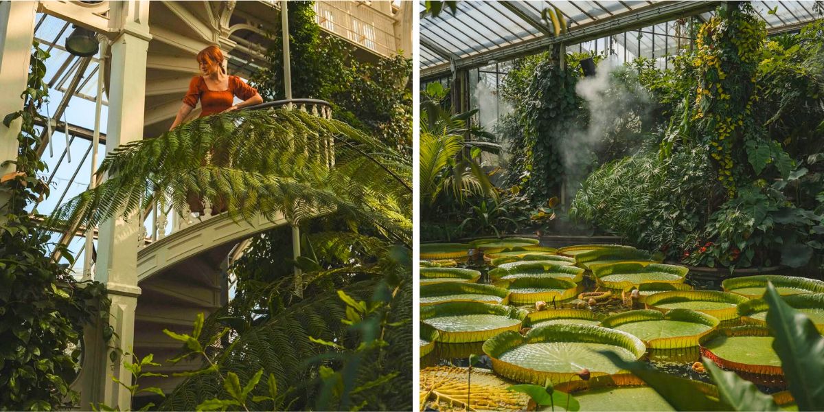 Greens spaces inside Palm House at Kew Greens spaces inside Palm House at Kew