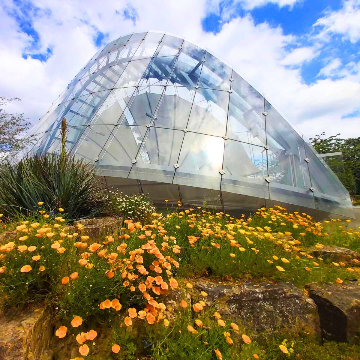 Davies Alpine House Davies Alpine House