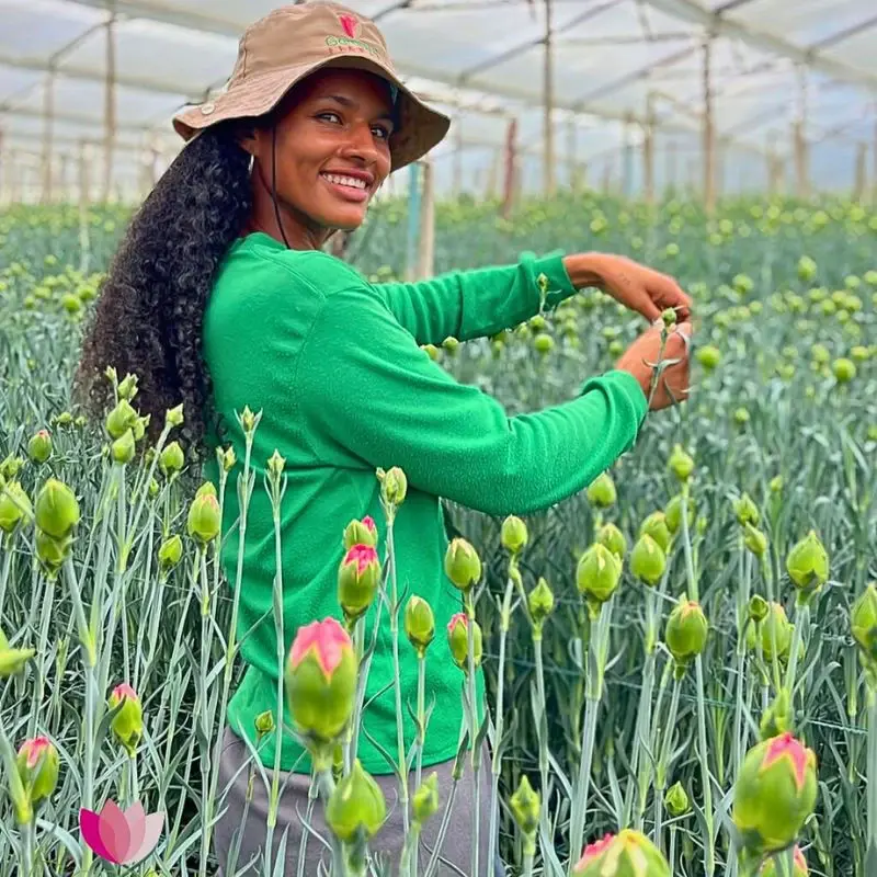 The Essential Nexus Between Biodiversity Conservation and Sustainable Floriculture