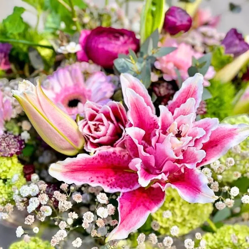 Roselily by Moerman Lilium and Rosily official Round the clock square feature