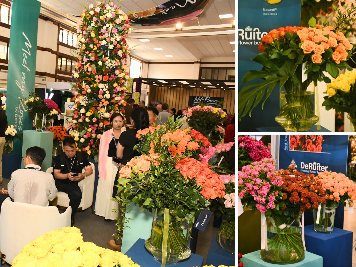 De Ruiter's varieties Continued Success of IFTEX Shows the Sustained Growth of Kenya’s Flower Industry