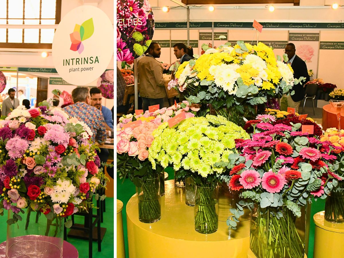 Continued Success of IFTEX Shows the Sustained Growth of Kenya’s Flower Industry