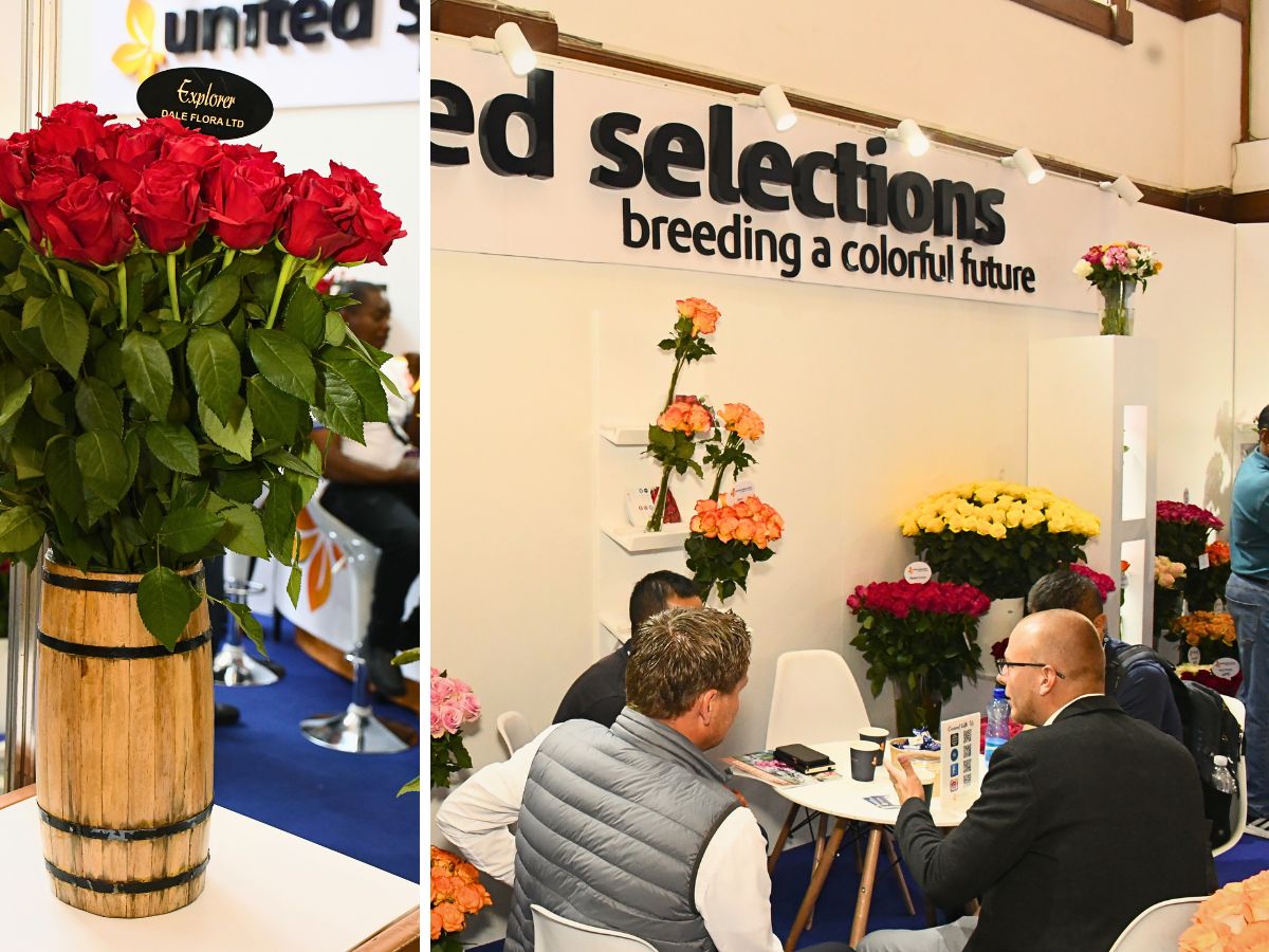 United Selections at IFTEX The Continued Success of IFTEX Shows the Sustained Growth of Kenya’s Flower Industry
